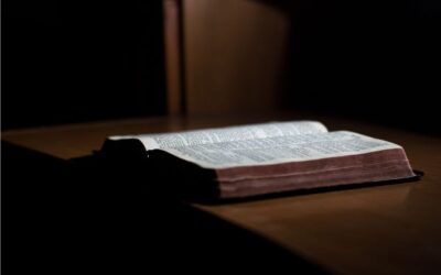 Un Nuevo Decreto a Nuestro Favor: La Sabiduría de Dios en la Adversidad